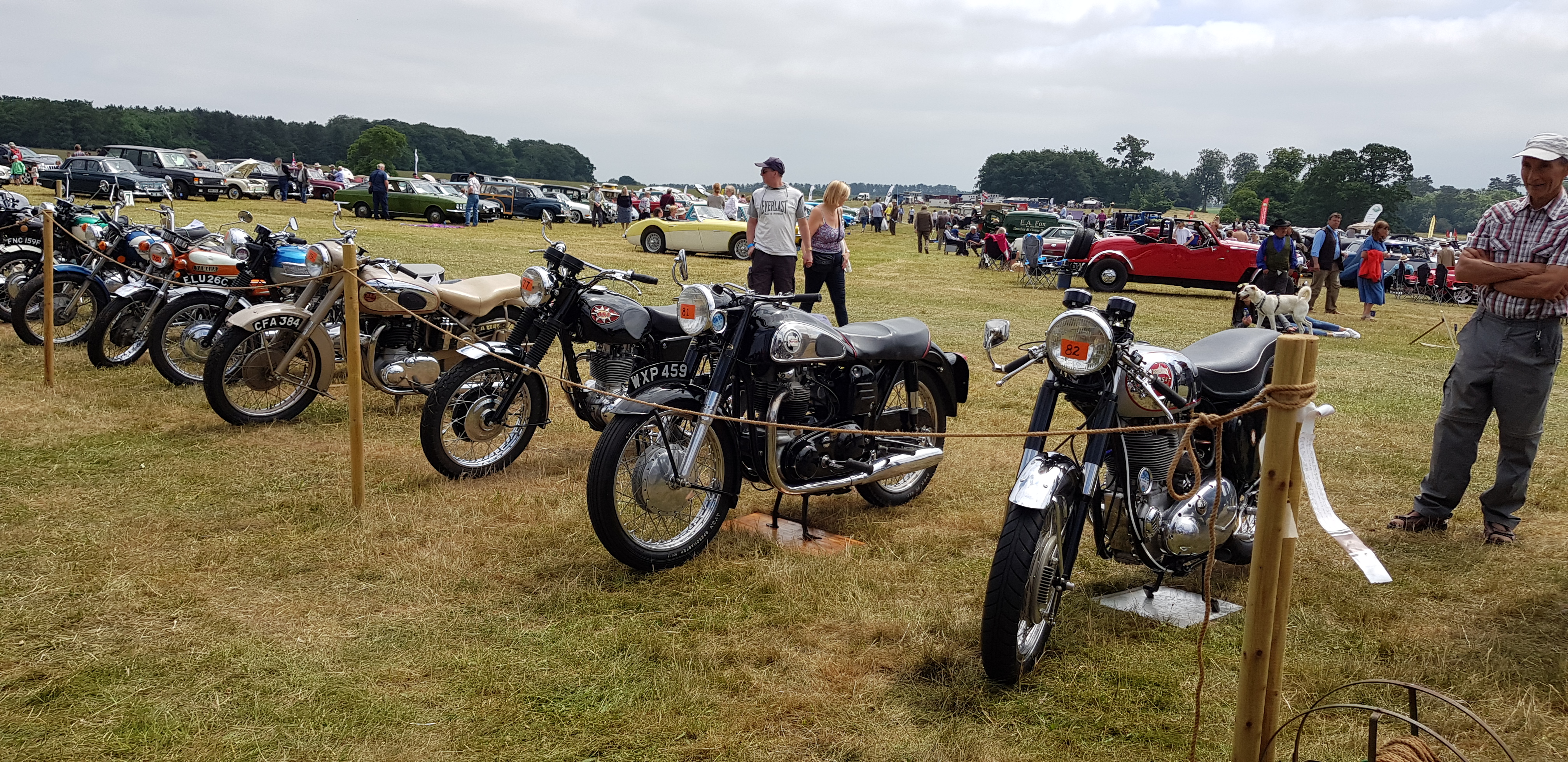 Euston Pastimes 2018
